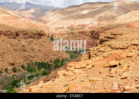 Schluchten, Palmeraies, Palmen, Datteln, Walnüsse, Agricultural, gebirgige Region Asif Ounila Fluss, Ounila Dorf, Flussbett, Marokko Stockfoto