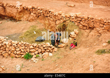 Antike alte Getreidespeicher, Lagerung von Getreide, Wertsachen, Essen, Ounila Dorf, Oase, üppigen Palmeraires, Landwirtschaft, River Bed, Marokko Stockfoto