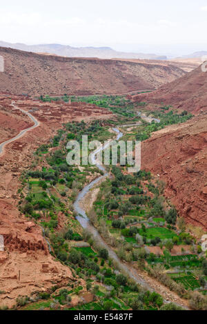 Schluchten, Palmeraies, Palmen, Datteln, Walnüsse, Agricultural, gebirgige Region Asif Ounila Fluss, Ounila Dorf, Flussbett, Marokko Stockfoto