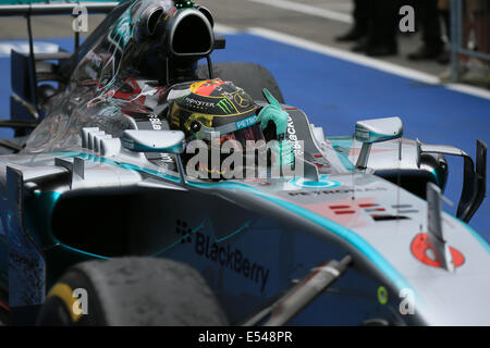 Hockenheim, Deutschland. 20. Juli 2014. Formel 1 Grand Prix von Deutschland.   Nico Rosberg von Mercedes AMG Petronas F1 Team gewinnt den deutschen GP-Kredit: Action Plus Sport Bilder/Alamy Live News Stockfoto