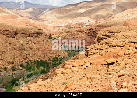 Schluchten, Palmeraies, Palmen, Datteln, Walnüsse, Agricultural, gebirgige Region Asif Ounila Fluss, Ounila Dorf, Flussbett, Marokko Stockfoto