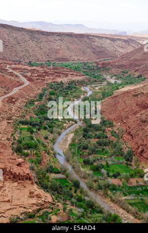 Schluchten, Palmeraies, Palmen, Datteln, Walnüsse, Agricultural, gebirgige Region Asif Ounila Fluss, Ounila Dorf, Flussbett, Marokko Stockfoto