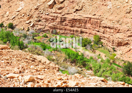 Schluchten, Palmeraies, Palmen, Datteln, Walnüsse, Agricultural, gebirgige Region Asif Ounila Fluss, Ounila Dorf, Flussbett, Marokko Stockfoto