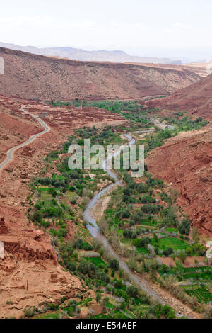 Schluchten, Palmeraies, Palmen, Datteln, Walnüsse, Agricultural, gebirgige Region Asif Ounila Fluss, Ounila Dorf, Flussbett, Marokko Stockfoto