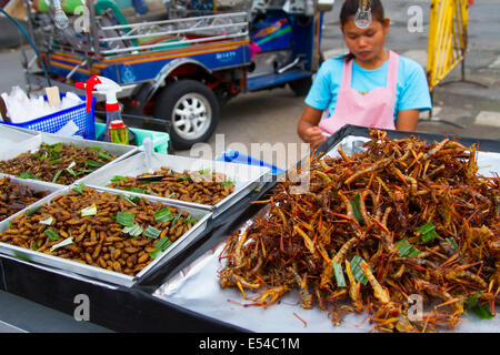 Insekt für Essen in einem Straßenstand. Bangkok, Thailand, Asien. Stockfoto