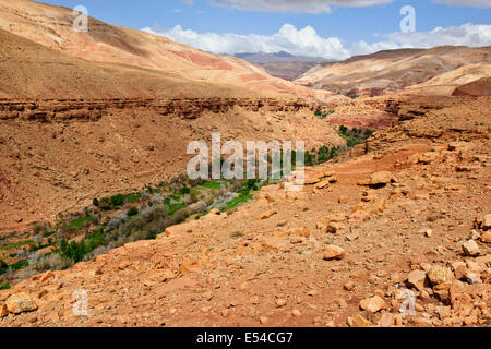 Antike alte Getreidespeicher, Lagerung von Getreide, Wertsachen, Essen, Ounila Dorf, Oase, üppigen Palmeraires, Landwirtschaft, River Bed, Marokko Stockfoto