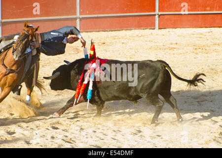 MADRID, Spanien - 10 SEPTEMBER: Stierkämpfer zu Pferd, Stierkampf. 10. September 2010 in Madrid (Spanien) Stockfoto