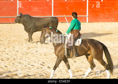 MADRID, Spanien - 10 SEPTEMBER: Stierkämpfer zu Pferd, Stierkampf. 10. September 2010 in Madrid (Spanien) Stockfoto