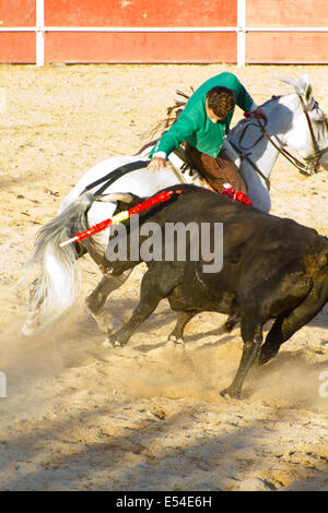 MADRID, Spanien - 10 SEPTEMBER: Stierkämpfer zu Pferd, Stierkampf. 10. September 2010 in Madrid (Spanien) Stockfoto