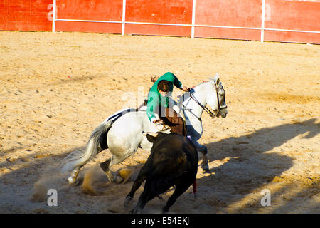 MADRID, Spanien - 10 SEPTEMBER: Stierkämpfer zu Pferd, Stierkampf. 10. September 2010 in Madrid (Spanien) Stockfoto