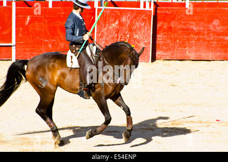 MADRID, Spanien - 10 SEPTEMBER: Stierkämpfer zu Pferd, Stierkampf. 10. September 2010 in Madrid (Spanien) Stockfoto