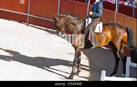 MADRID, Spanien - 10 SEPTEMBER: Stierkämpfer zu Pferd, Stierkampf. 10. September 2010 in Madrid (Spanien) Stockfoto