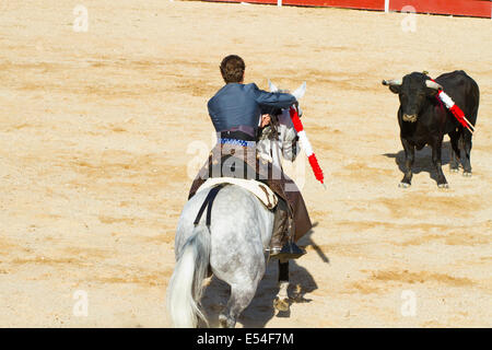 Stierkampf auf dem Pferderücken. Typischen spanischen Stierkampf. Stockfoto