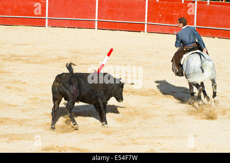 MADRID, Spanien - 10 SEPTEMBER: Stierkämpfer zu Pferd, Stierkampf. 10. September 2010 in Madrid (Spanien) Stockfoto