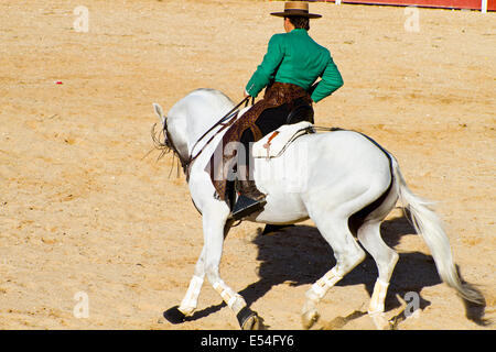 Stierkampf auf dem Pferderücken. Typischen spanischen Stierkampf. Stockfoto