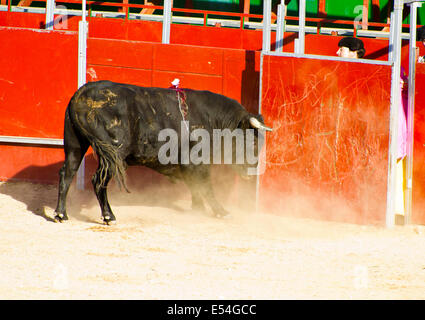 MADRID, Spanien - 10 SEPTEMBER: Stierkämpfer zu Pferd, Stierkampf. 10. September 2010 in Madrid (Spanien) Stockfoto