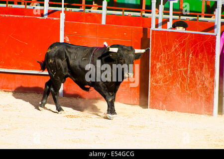 MADRID, Spanien - 10 SEPTEMBER: Stierkämpfer zu Pferd, Stierkampf. 10. September 2010 in Madrid (Spanien) Stockfoto