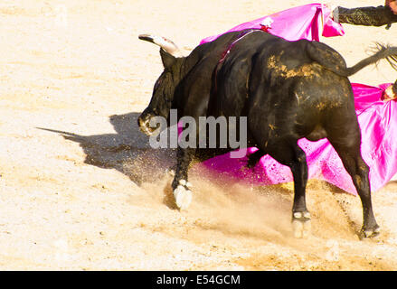 MADRID, Spanien - 10 SEPTEMBER: Stierkämpfer zu Pferd, Stierkampf. 10. September 2010 in Madrid (Spanien) Stockfoto