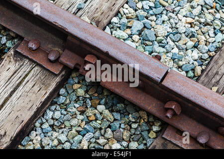Eine gemeinsame zwischen Schienen auf einer stillgelegten Bahntrasse, British Columbia, Kanada Stockfoto