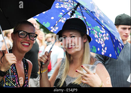 Freiburg, Deutschland. 20. Juli 2014. Techno-Fans mit einem Regenschirm, während das Meer Sie-Festival in der Nähe von Freiburg. 20. Juli 2014. Bildnachweis: Miroslav Dakov/Alamy Live-Nachrichten Stockfoto