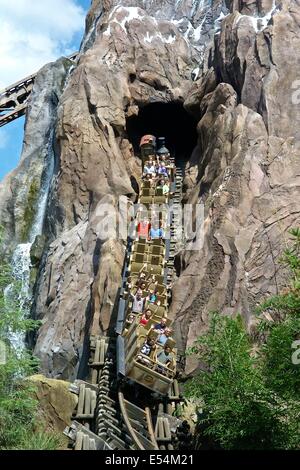 Expedition Everest. Disneys Tierkönigreich. Stockfoto