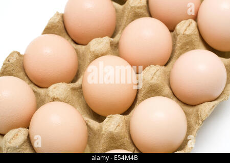 Frische dutzend Eier in Papier. Stockfoto