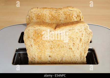 zwei Scheiben Toast im toaster Stockfoto