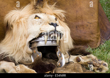 Römischer Soldat Aquilifer mit Löwenfell Kopfschmuck Stockfoto