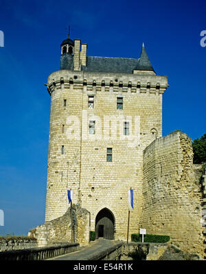 Blick auf das Chateau de Chinon, Indre-et-Loire, Frankreich Stockfoto