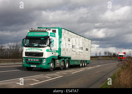 Ein MD Workman LKW Reisen entlang der Schnellstraße A46 in Leicestershire, England Stockfoto