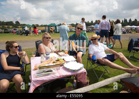 Zuschauer genießen Picknicks bei Veuve Clicquot Gold Cup, British Open Polo Championship, Cowdray Park Polo Club Midhurst England UK Stockfoto