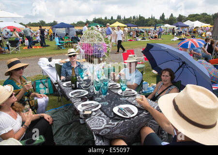 Zuschauer genießen Picknicks bei Veuve Clicquot Gold Cup, British Open Polo Championship, Cowdray Park Polo Club Midhurst England UK Stockfoto