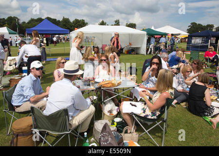 Zuschauer genießen Picknicks bei Veuve Clicquot Gold Cup, British Open Polo Championship, Cowdray Park Polo Club Midhurst England UK Stockfoto