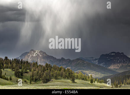 Sommer Regen Sturm über die Absaroka-Bergkette im Yellowstone Nationalpark 24. Juni 2014 in Yellowstone in Wyoming. Stockfoto