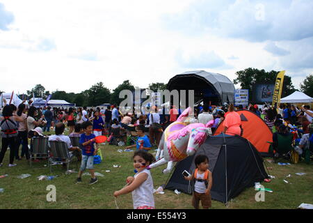 Walton, Surrey, UK. 20. Juli 2014. Gemischt Rasse Britisch/Filipino Kinder spielen, während ihre Familien Essen, reden und jede andere genießen Firma. Bildnachweis: Paul Hamilton/Alamy Live-Nachrichten Stockfoto