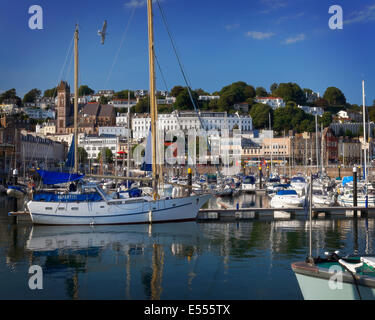 GB - DEVON: Torquay Hafen und Stadt Stockfoto