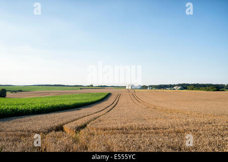 Biogas-Anlage in Deutschland, Hessen Stockfoto