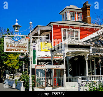 Ansicht von Parnell Dorfläden, Auckland, Neuseeland Stockfoto