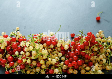 Sommer Beeren - rote und weiße Johannisbeeren, Schiefer-Hintergrund Stockfoto