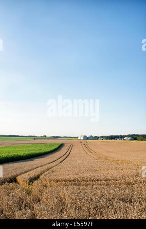 Biogas-Anlage in Deutschland, Hessen Stockfoto