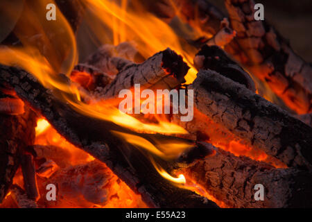 Äste sind im Feuer verbrannt. Stockfoto