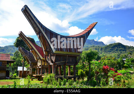 Traditionelle Alang Reis Scheune, Rantepao, Tana Toraja, Sulawesi, Indonesien Stockfoto