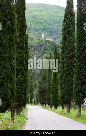 Blick von San Pietro in Valle in Richtung Castello di Umbriano, Nr Spoleto, Umbrien, Italien Stockfoto