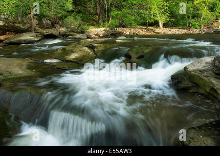 Wasser rauscht über Felsen in Rocky River in der Nähe von Berea fällt, Berea, Ohio, Vereinigte Staaten von Amerika. Stockfoto