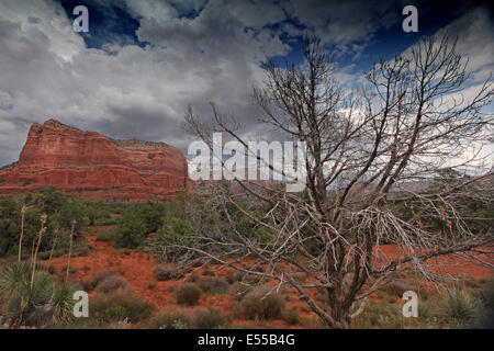 Roten Felsen bei Sedona, Vereinigte Staaten von Amerika, wunderschöne Natur Stockfoto