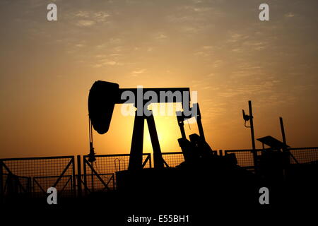 Nickend Esel in der Wüste, Königreich von Bahrain Stockfoto