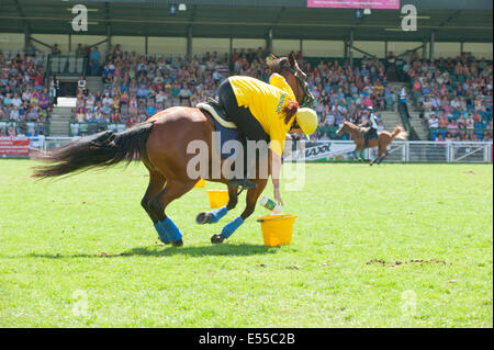 Llanelwedd, UK. 21. Juli 2014. Die Royal Welsh Mounted Games findet in der Main-Ring statt. Eine Rekordzahl von mehr als 240.000 Besucher dürften diese Woche vier Tage lang von Europas größten Agrarmesse. Vieh-Klassen und Sonderpreise haben angezogen, 8.000 plus Einträge, 670 mehr als im Vorjahr. Das erste Royal Welsh Show war bei Aberystwyth in 1904 und angezogen 442 Vieh Einträge. Bildnachweis: Graham M. Lawrence/Alamy Live-Nachrichten. Stockfoto