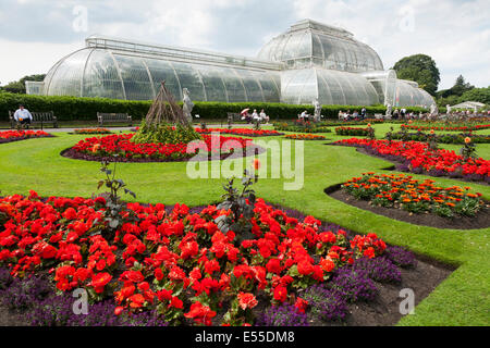 Außenseite des Palmenhauses im königlichen botanischen / botanische Gärten Kew-Garten-UK. Stockfoto