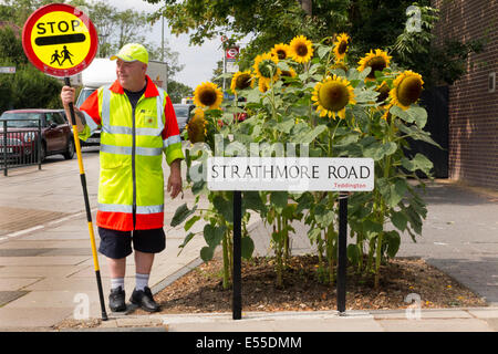 Lollipop-Mann / Lutscher Lolli pop Mann / Lolly pop Mann und Sonnenblumen, in der Nähe einer Schule in Teddington. London UK. Stockfoto