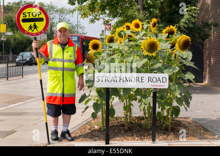 Lollipop-Mann / Lutscher Lolli pop Mann / Lolly pop Mann und Sonnenblumen, in der Nähe einer Schule in Teddington. London UK. Stockfoto